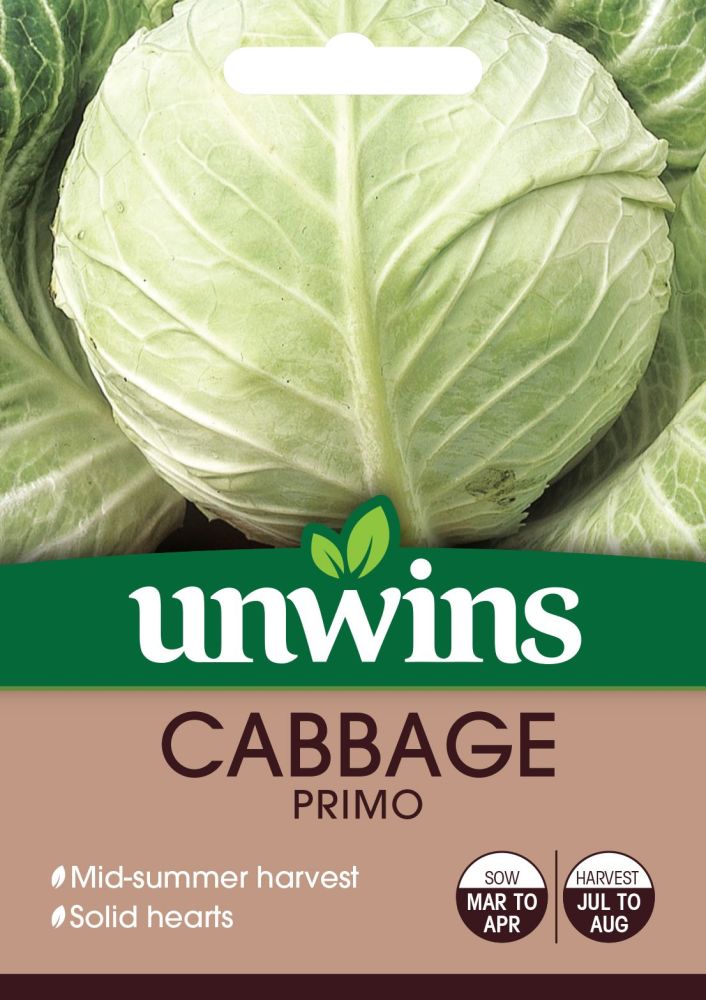 Cabbage (Round) Primo