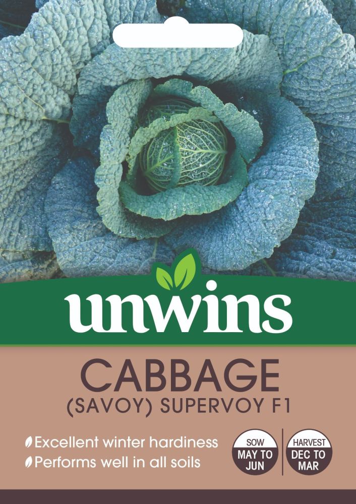 Cabbage (Savoy) Supervoy F1