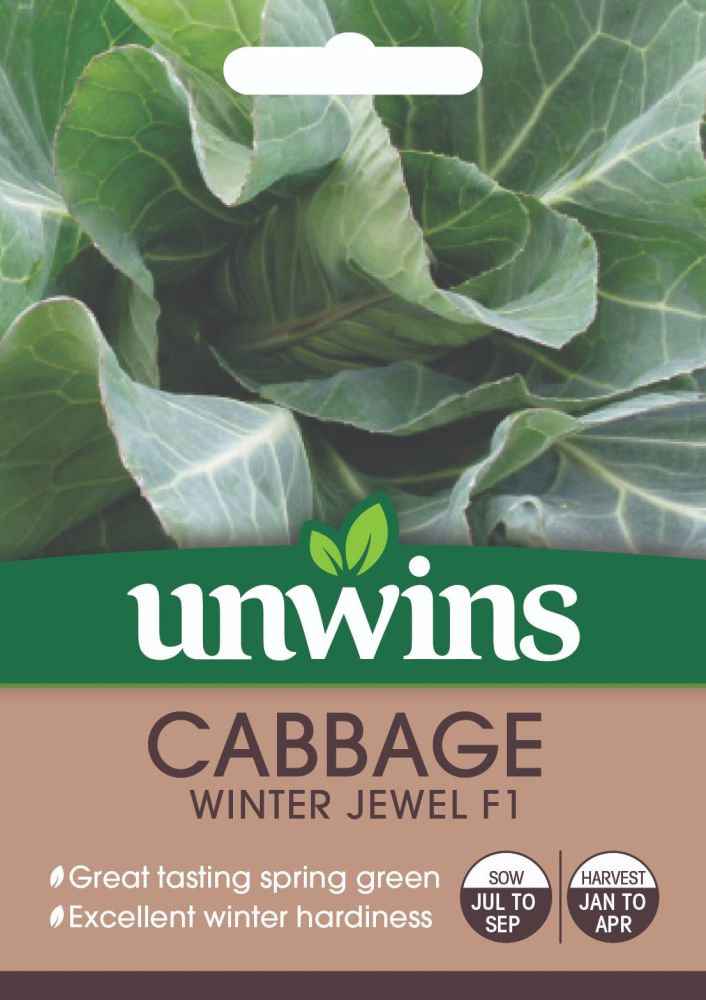 Cabbage (Spring Greens) Winter Jewel