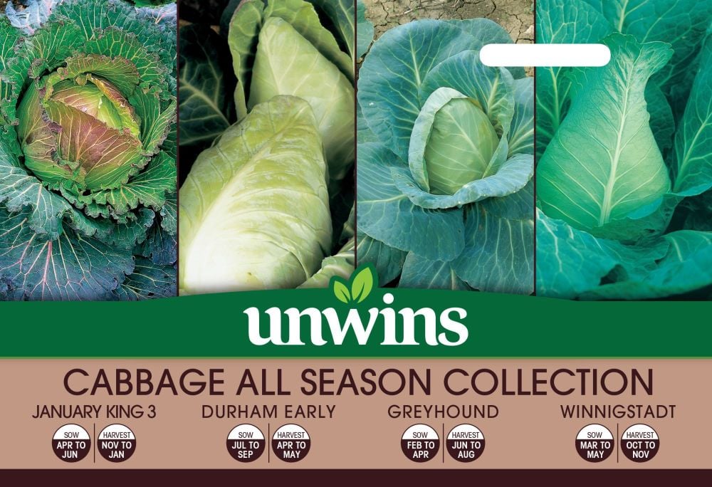 Cabbage All Season Collection Pack