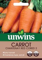 Carrot Chantenay Red Cored 2