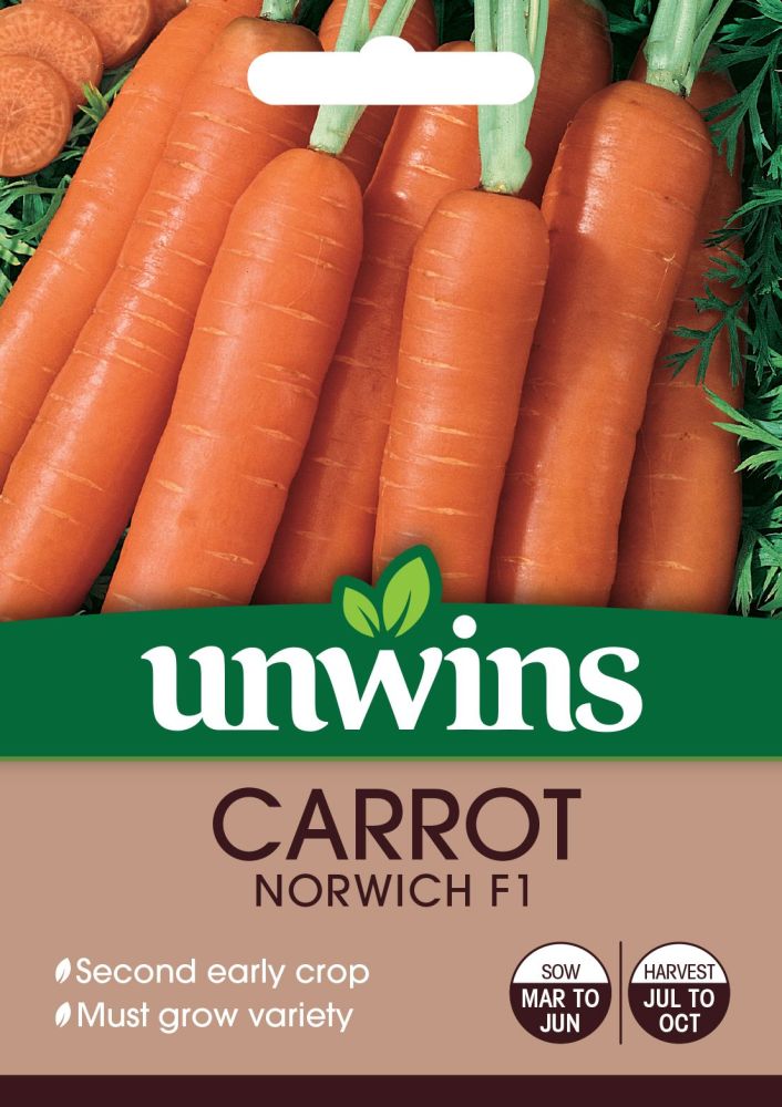 Carrot Norwich F1