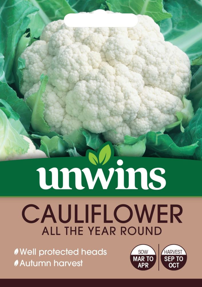 Cauliflower All The Year Round