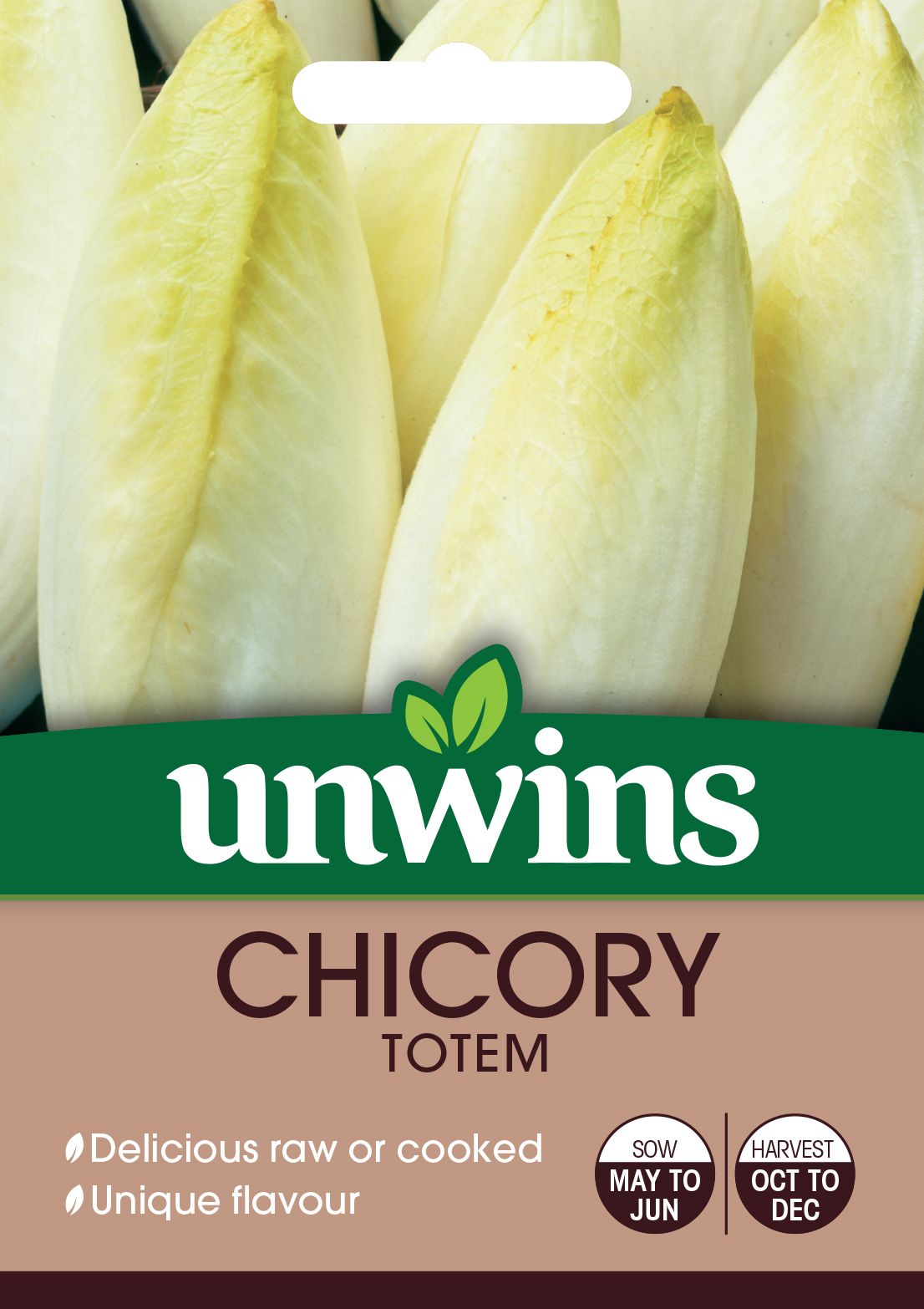 Chicory Totem