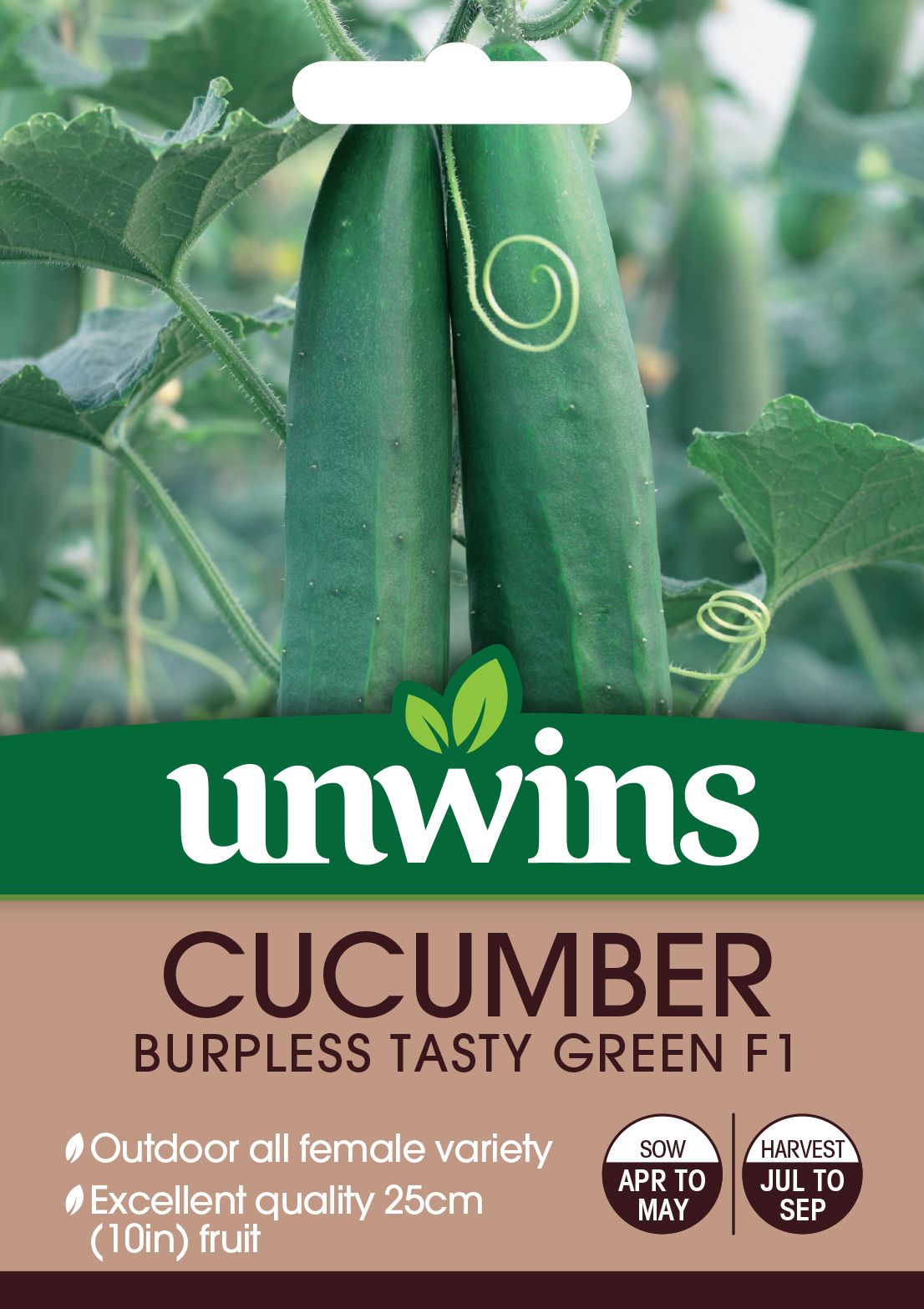 Cucumber Burpless Tasty Green F1