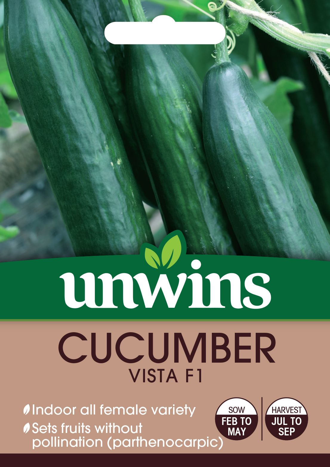 Cucumber Vista F1