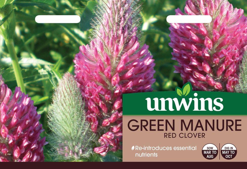 Green Manure Red Clover
