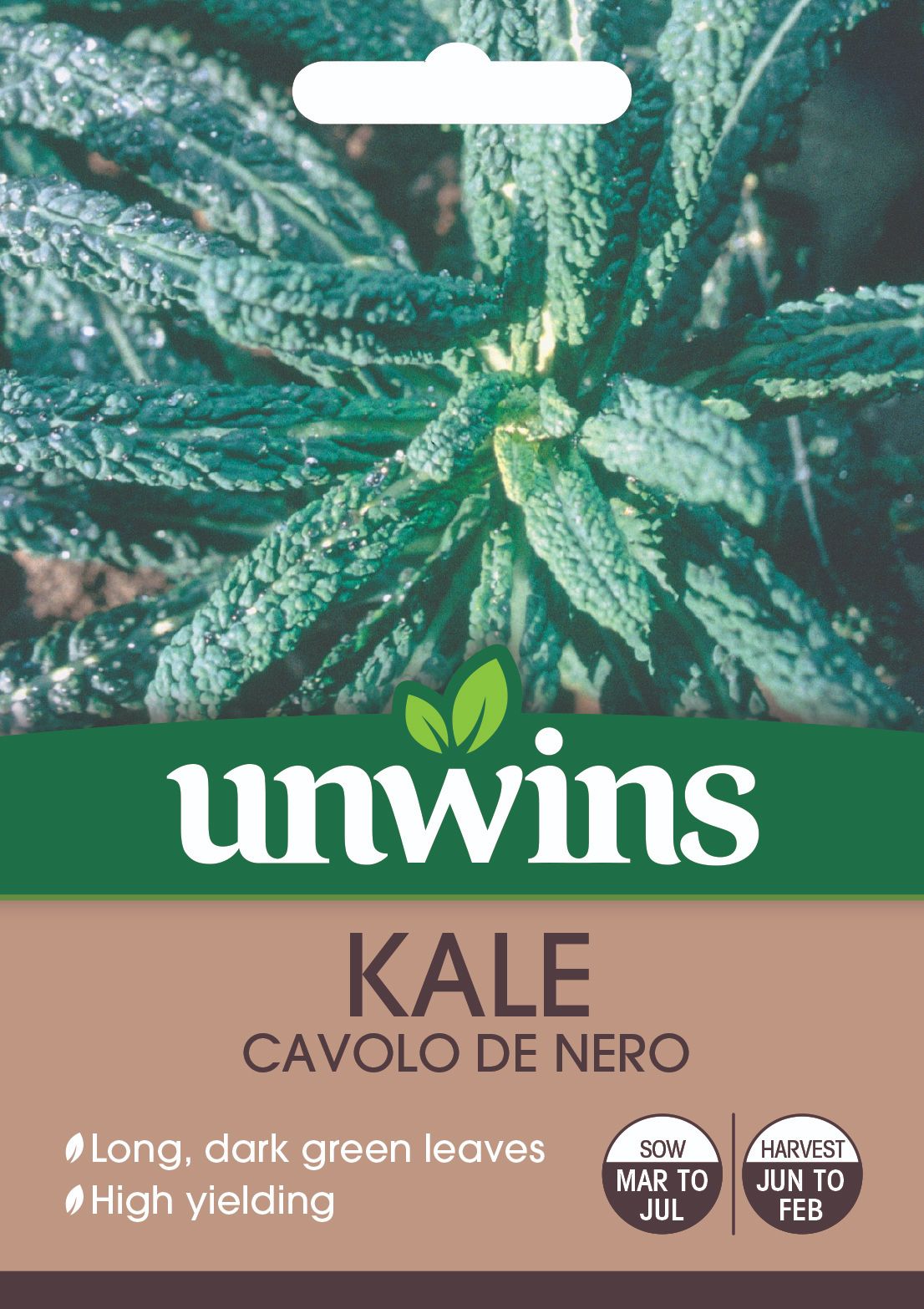 Kale Cavolo de Nero