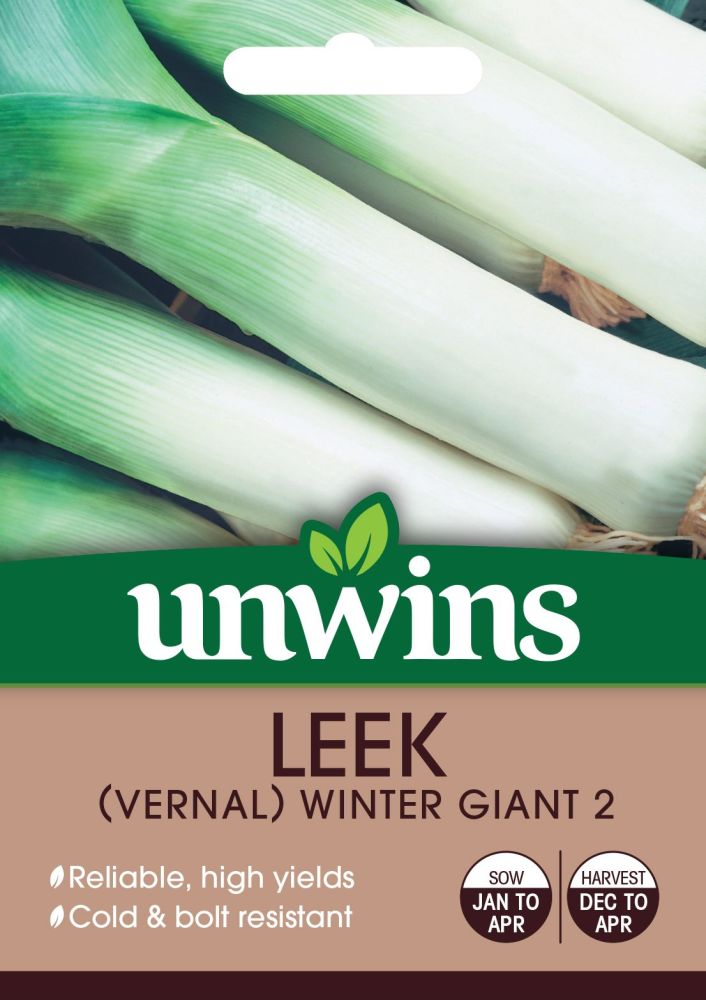 Leek (Vernal) Winter Giant 2