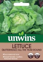 Lettuce (Butterhead) All The Year Round