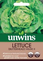 Lettuce (Butterhead) Hilde II