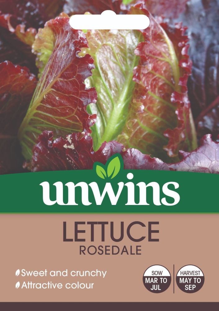 Lettuce (Cos) Rosedale