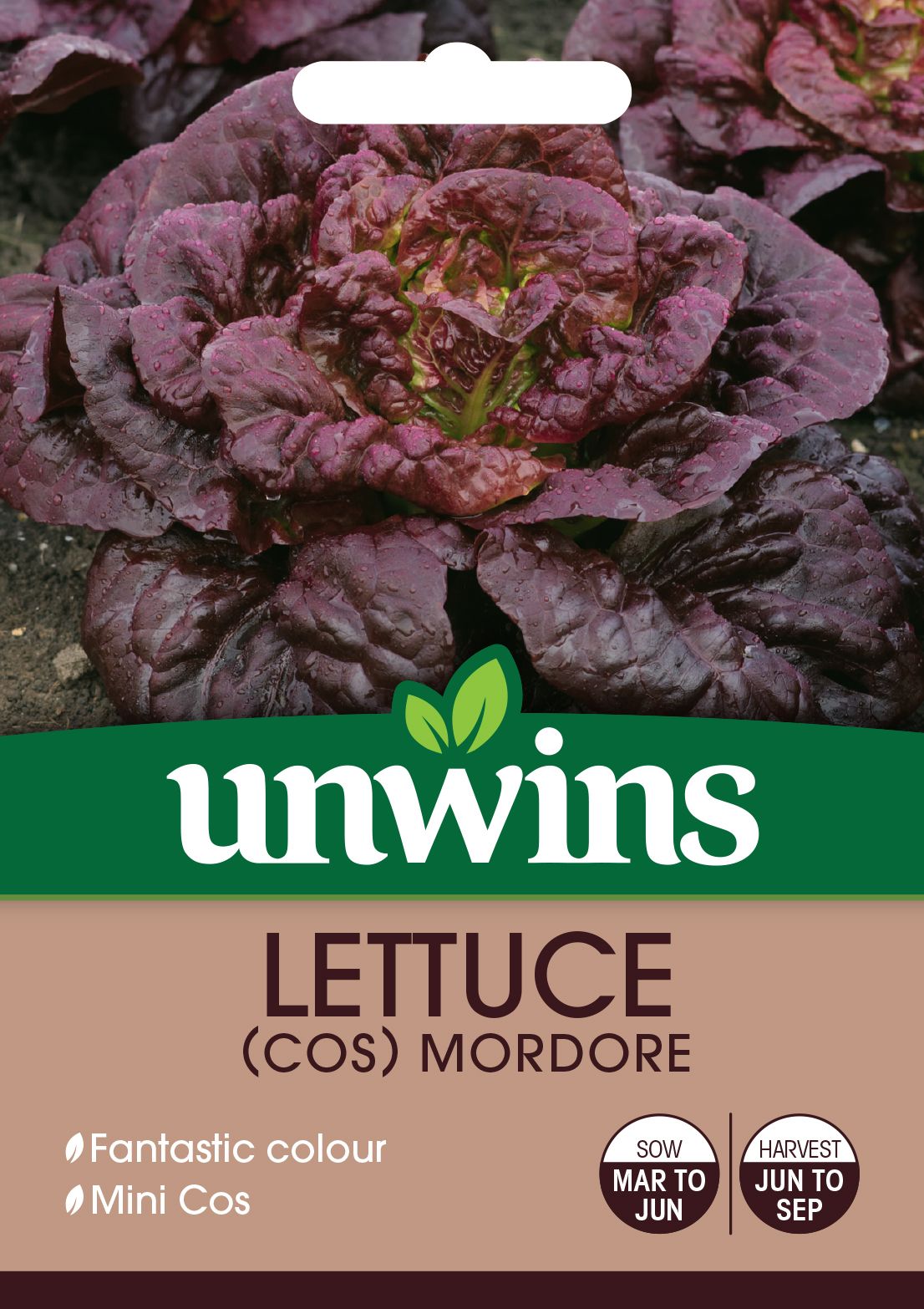 Lettuce (Cos) Mordore
