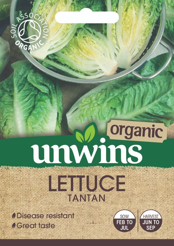 Lettuce (Cos) Tantan (Organic)