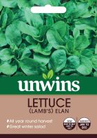 Lettuce (Leaves) (Lamb's) Elan