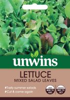 Lettuce (Leaves) Mixed Salad Leaves