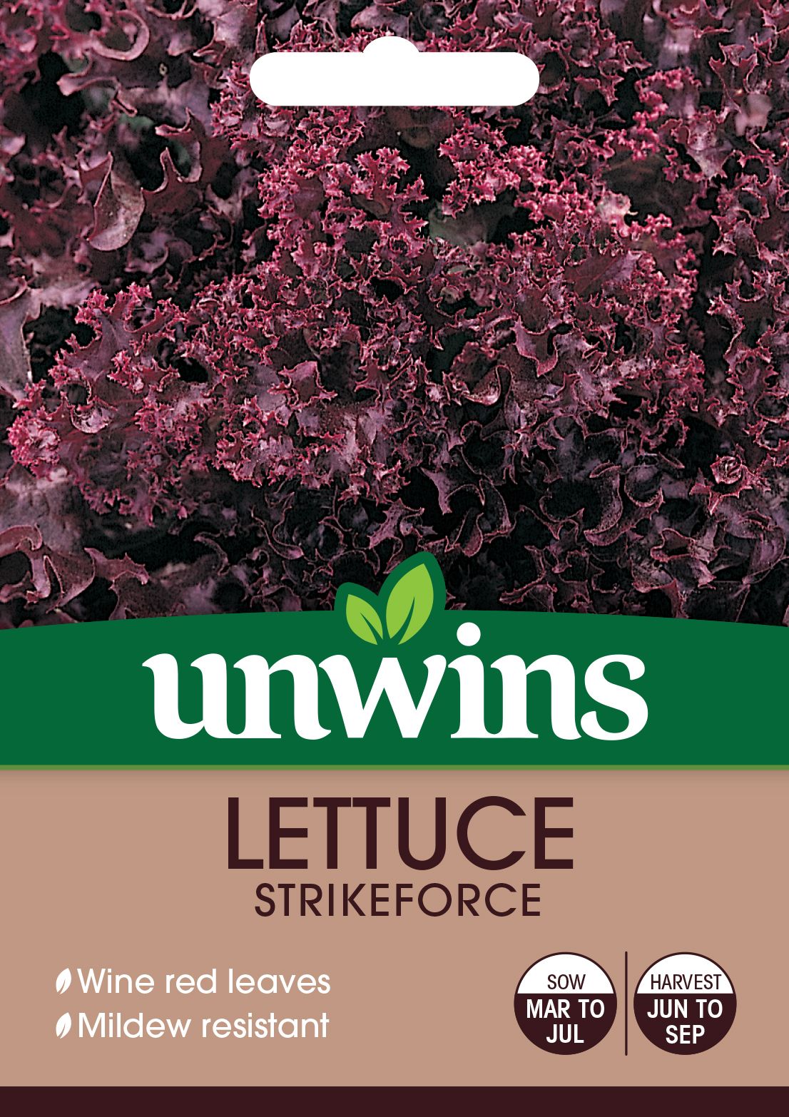 Lettuce (Loose) Strikeforce