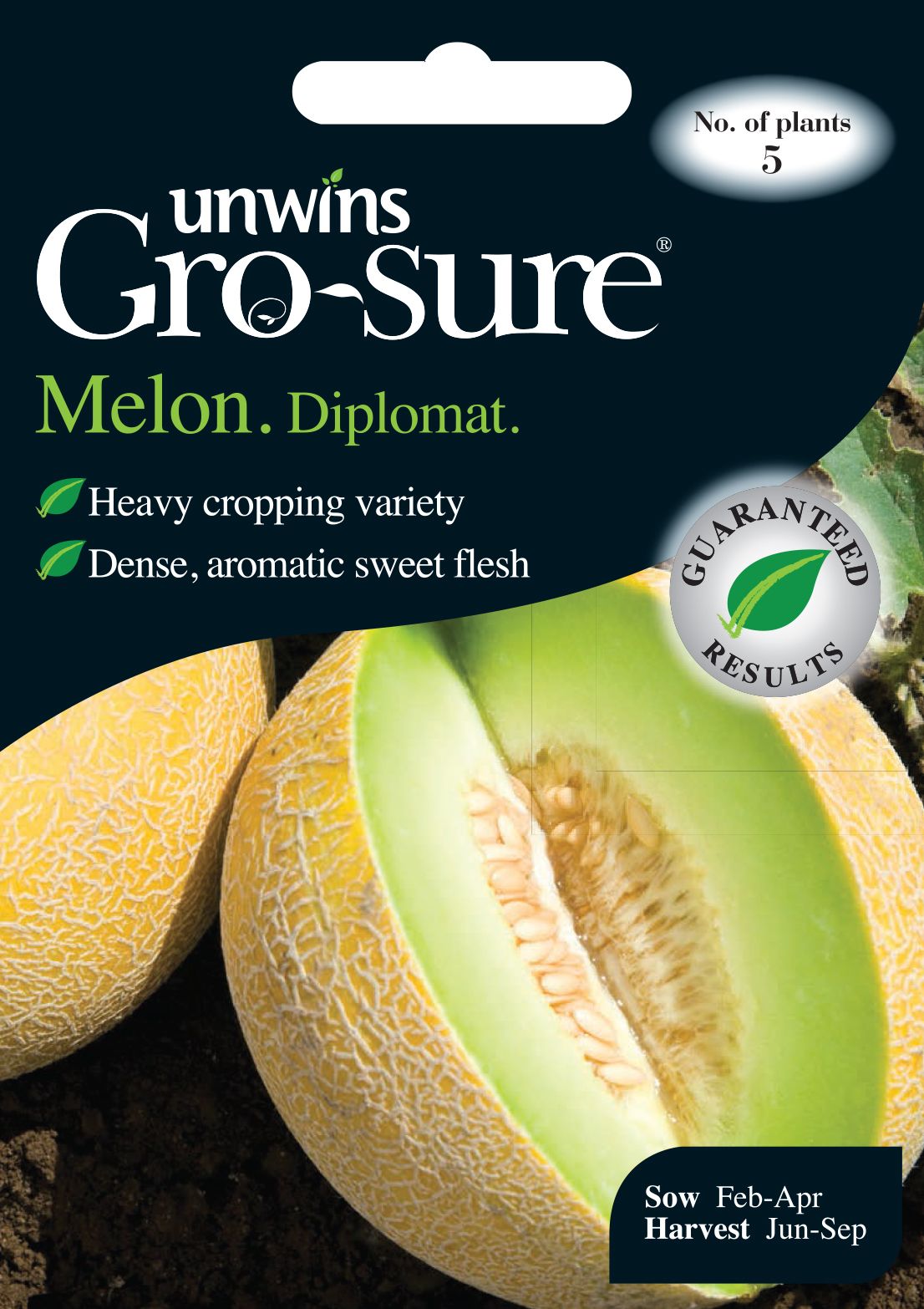 Melon Diplomat