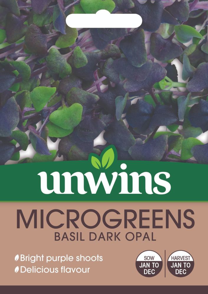 MicroGreens Basil Dark Opal