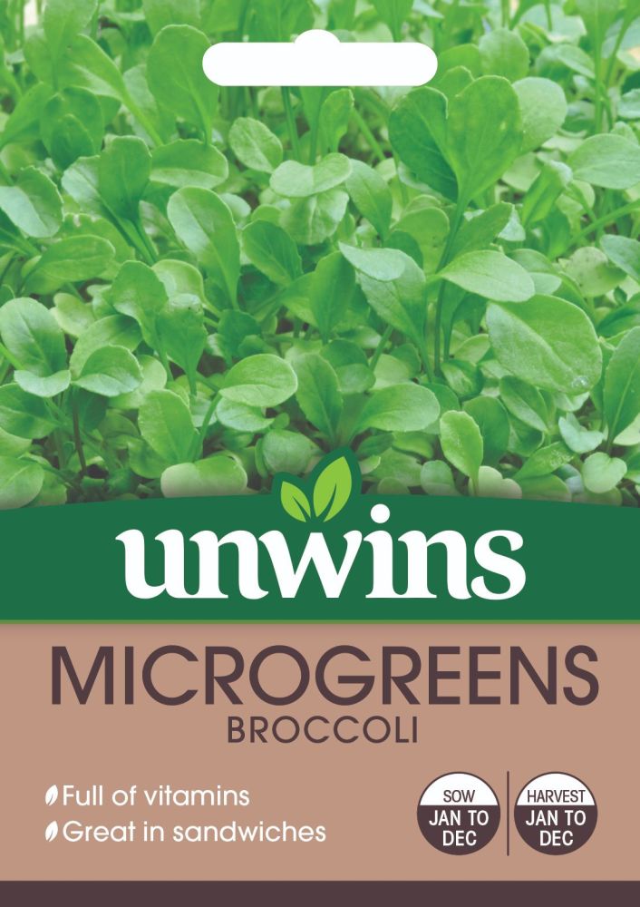 MicroGreens Broccoli