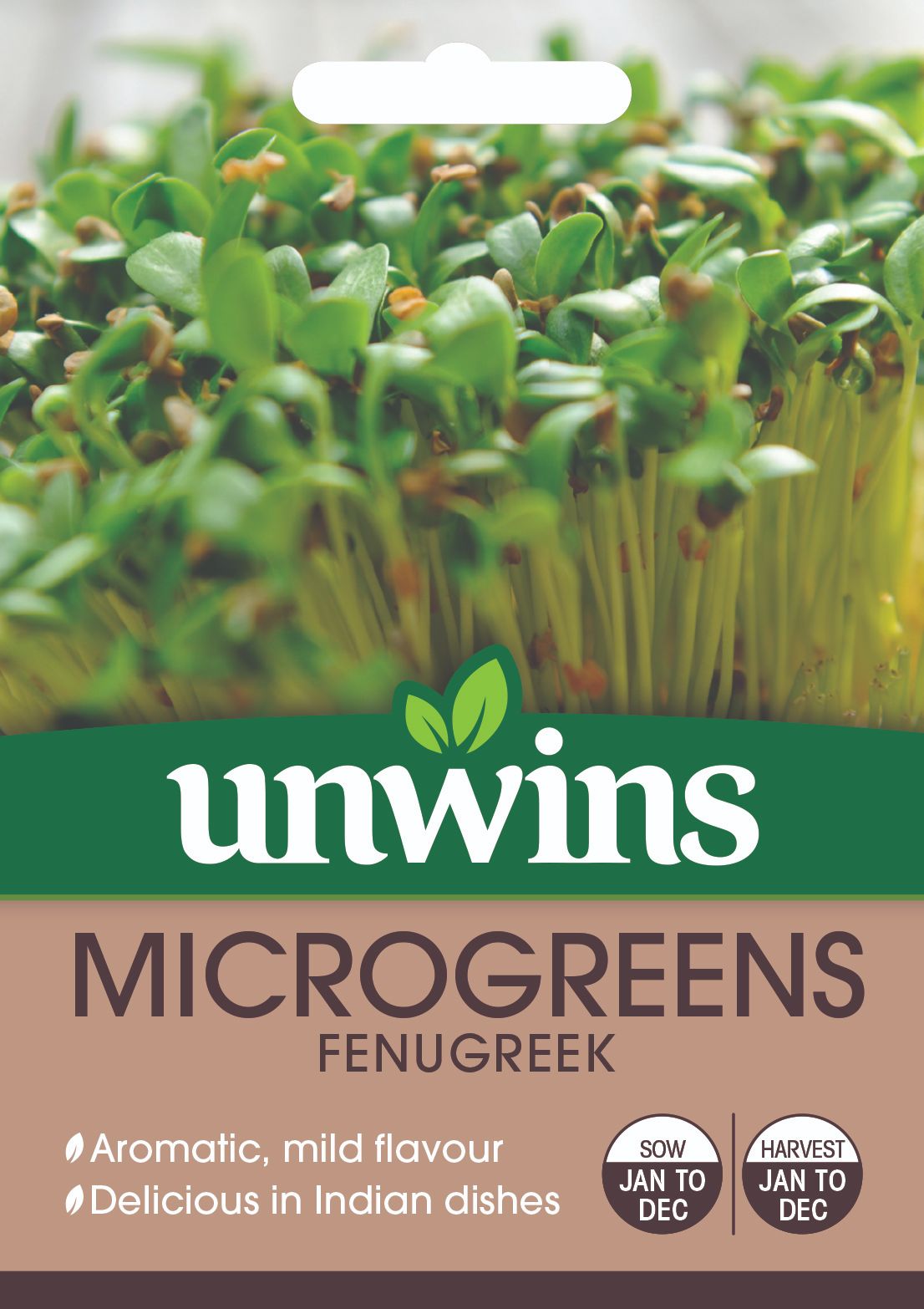 MicroGreens Fenugreek