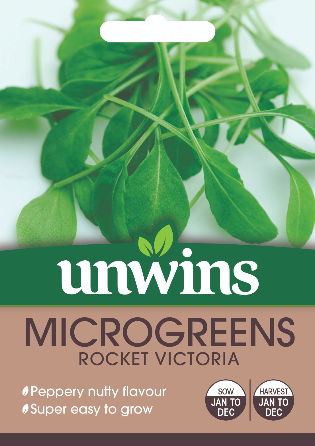 MicroGreens Rocket Victoria
