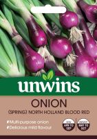 Onion Spring Holland Blood Red 