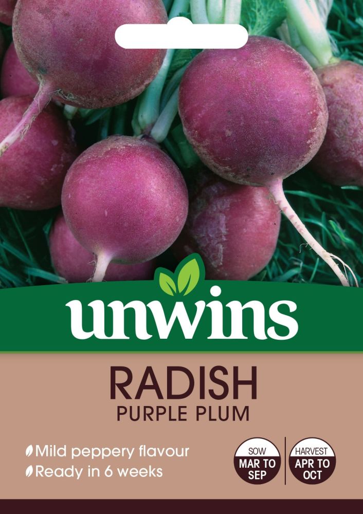Radish (Globe) Purple Plum