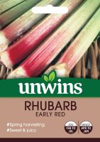 Rhubarb Early Red