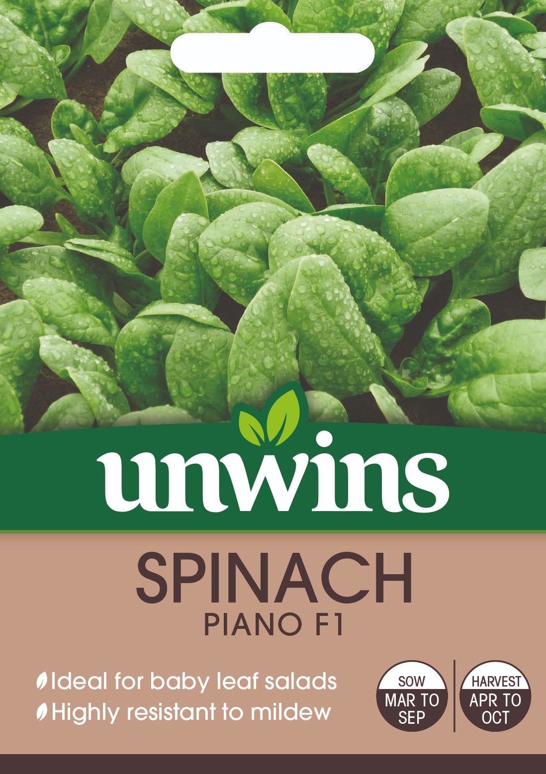 Spinach Piano F1