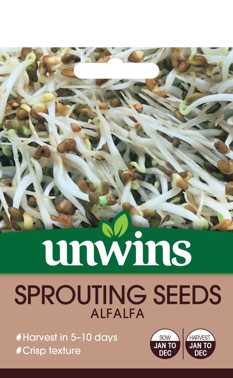Sprouting Seeds Alfalfa