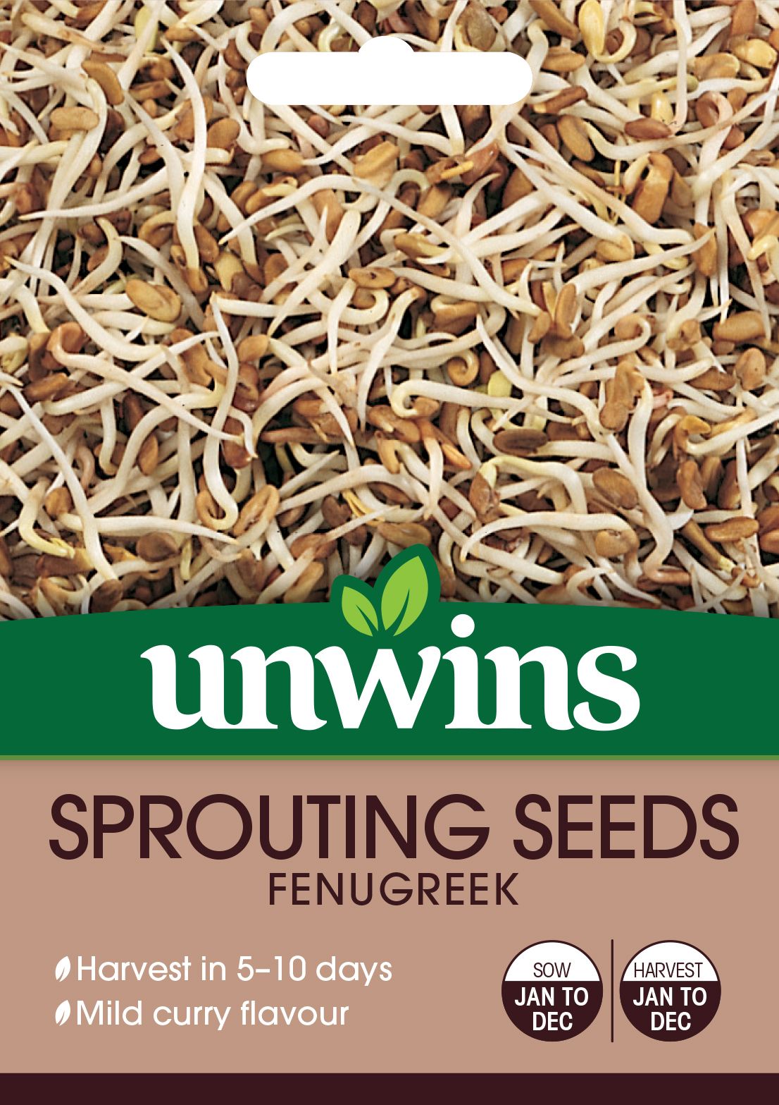 Sprouting Seeds Fenugreek 