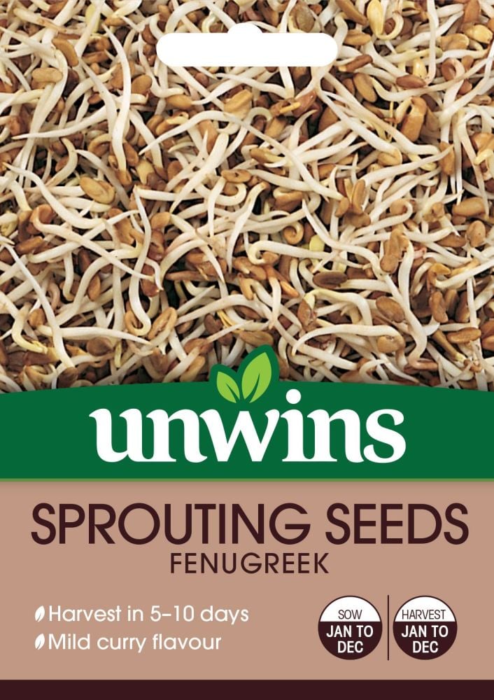 Sprouting Seeds Fenugreek