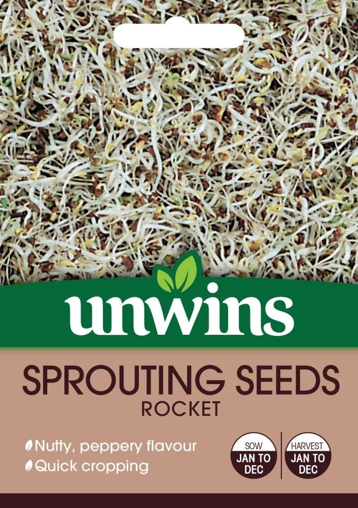 Sprouting Seeds Rocket