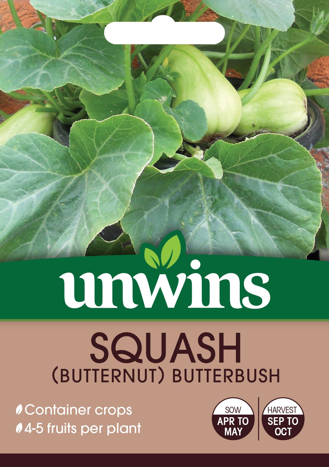 Squash (Butternut) Butterbush