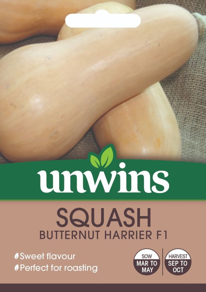 Squash (Butternut) Harrier F1