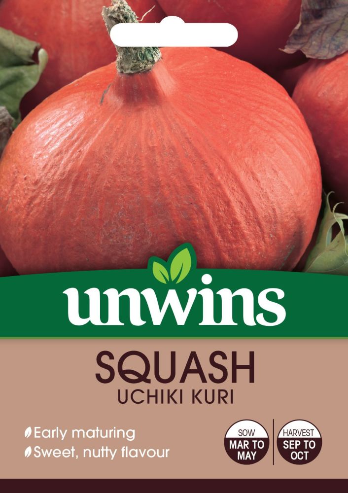 Squash Uchiki Kuri