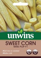 Sweet Corn Mini Pop F1