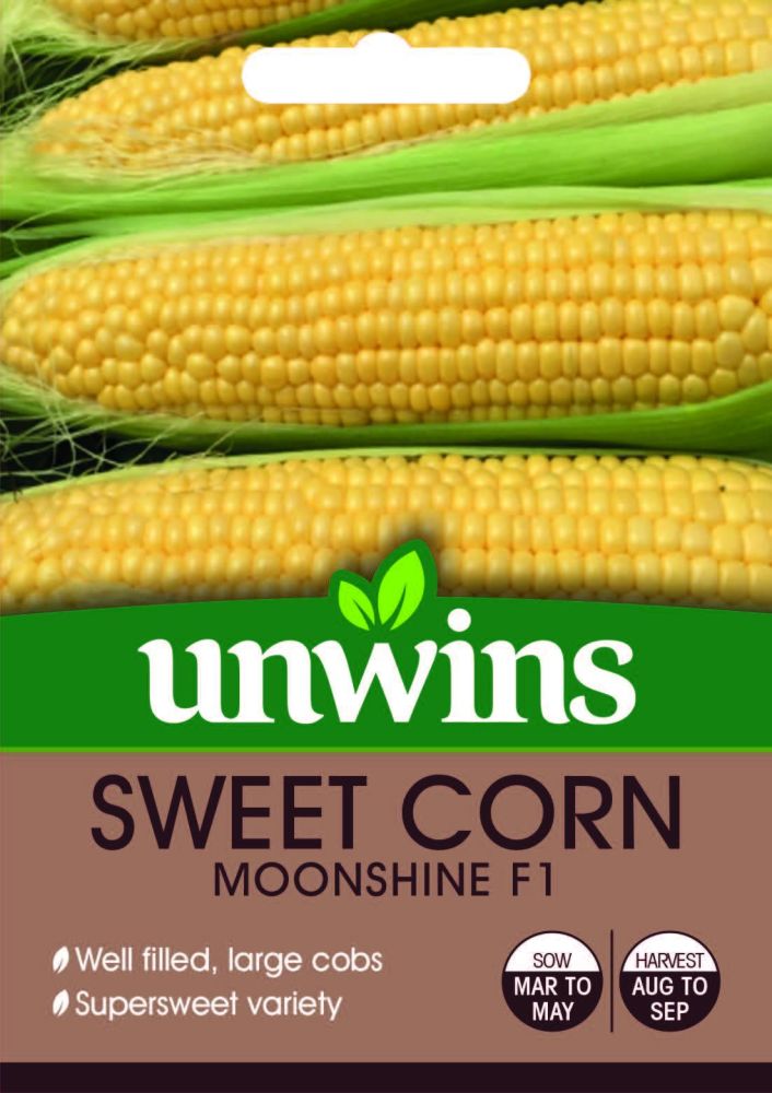 Sweet Corn Moonshine F1