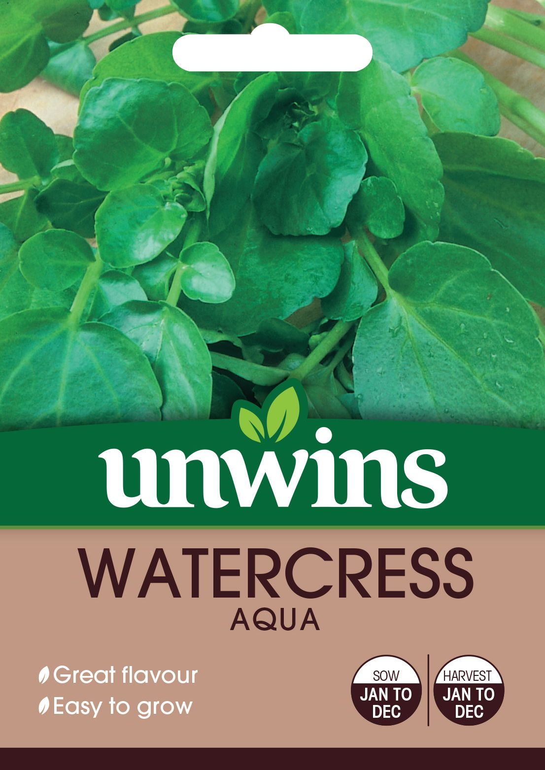 Watercress Aqua