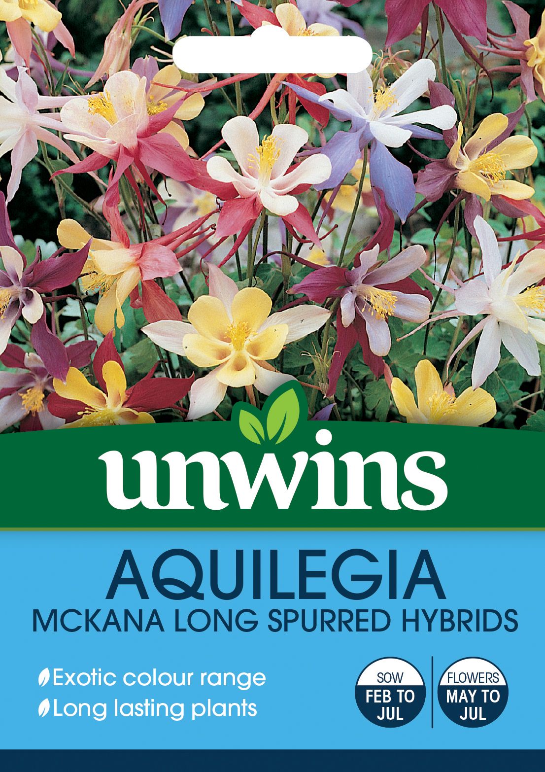 Aquilegia Mckana Long Spurred Hybrids