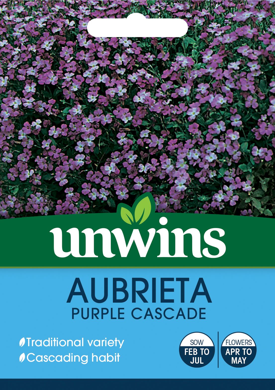Aubrieta Purple Cascade