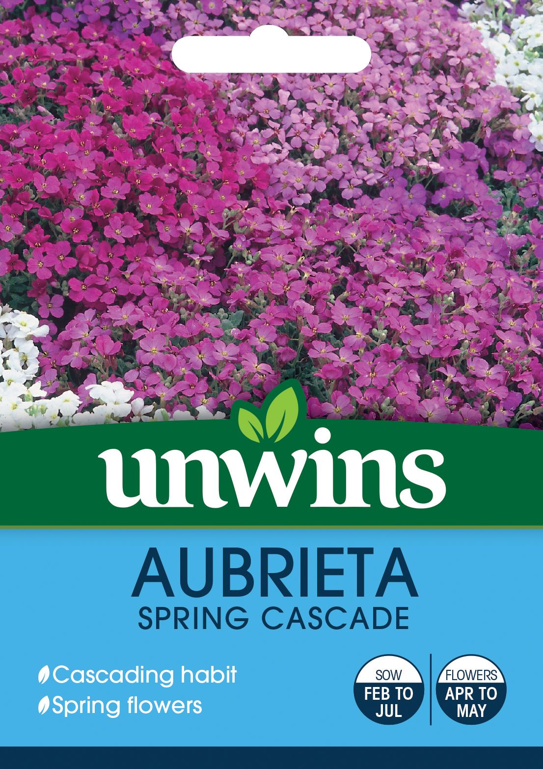 Aubrieta Spring Cascade