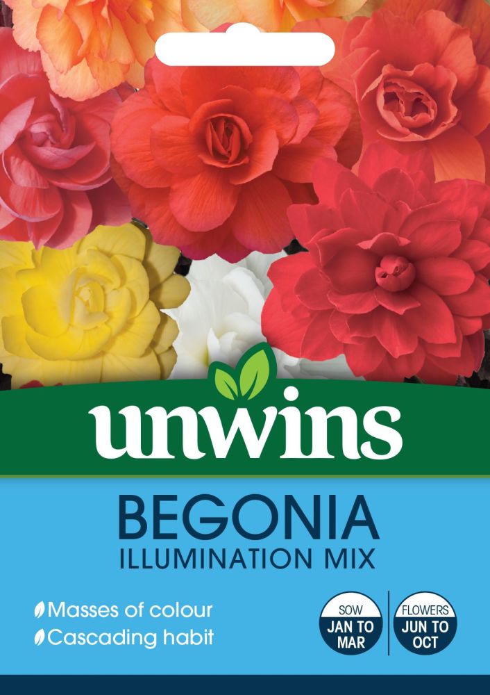Begonia Illuminations Mix