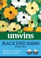 Black Eyed Susan Susie Mix