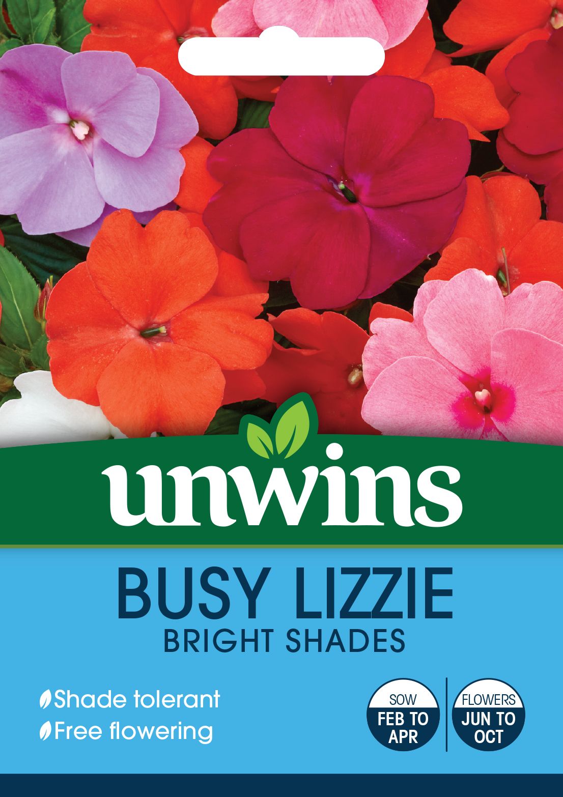 Busy Lizzie Bright Shades