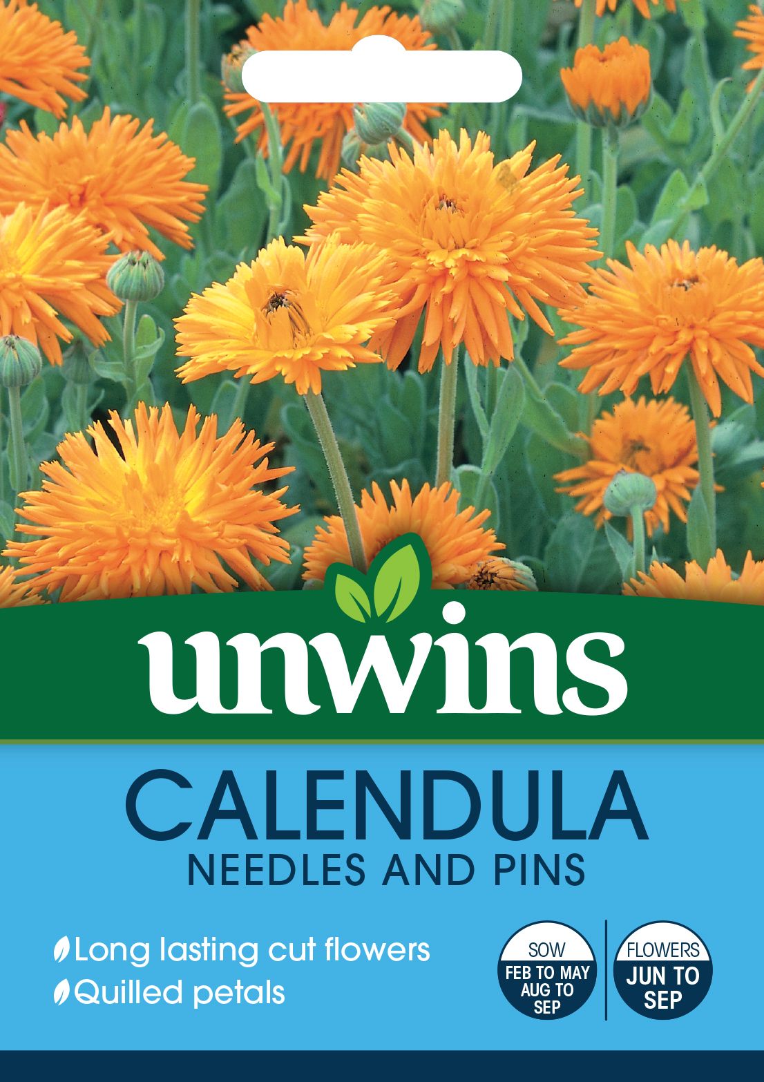 Calendula Needles And Pins