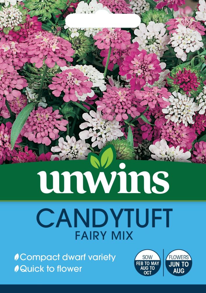 Candytuft Dwarf Fairy Mix