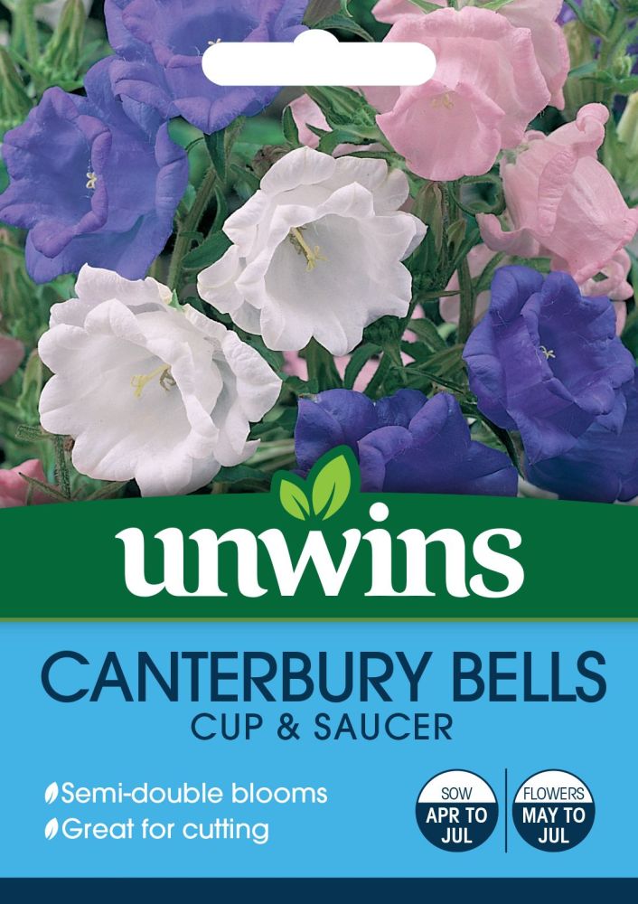 Canterbury Bells Cup & Saucer 