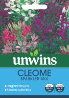 Cleome Sparkler Mix